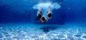 Schwimmbad
